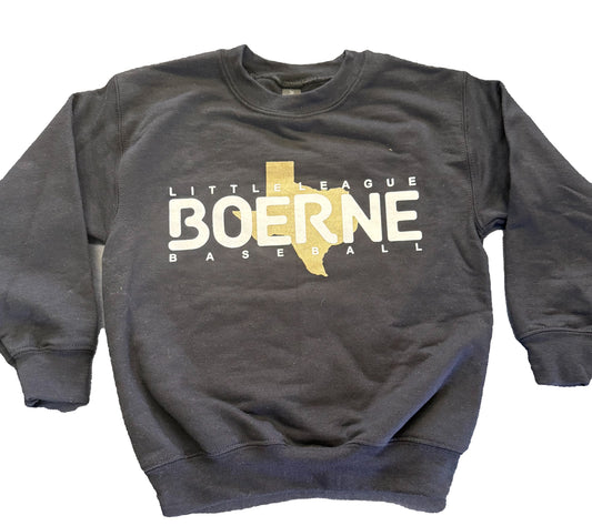 Texas Baseball Long-Sleeve Sweatshirt (Black)